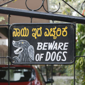 Beware of Dogs