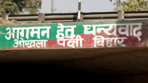 Okhla Bird Sanctuary