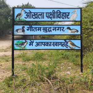 Okhla Bird Sanctuary