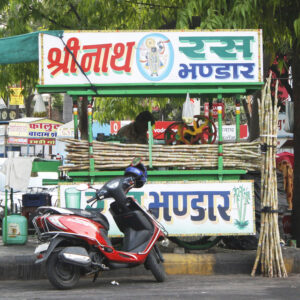Shri Nath Ras Bhandar