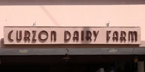 Curzon Dairy Farm